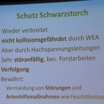 0079 Energie Zukunft BUND Hessen M Krauss Folie 12.jpg